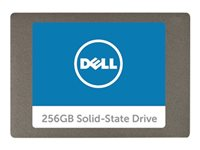Dell - SSD - 256 Go - interne - SATA - pour Inspiron 15 5567, 17 5767; Latitude 7414; OptiPlex 30XX, 5480, 70XX, 90XX; Vostro 3710 A9794105